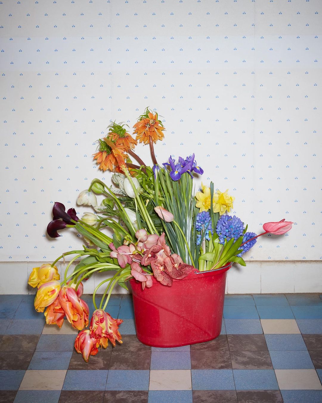Still life arrangement of various colorful flowers in a red plastic bucket on a checkered tile floor against patterned wallpaper.