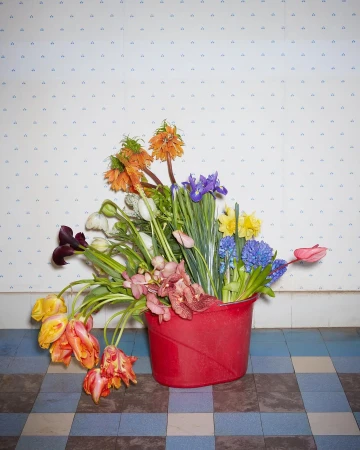 Still life arrangement of various colorful flowers in a red plastic bucket on a checkered tile floor against patterned wallpaper.