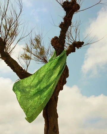 Green fabric drapes from a bare tree against a partly cloudy sky, creating a soft and artistic outdoor scene with natural light.