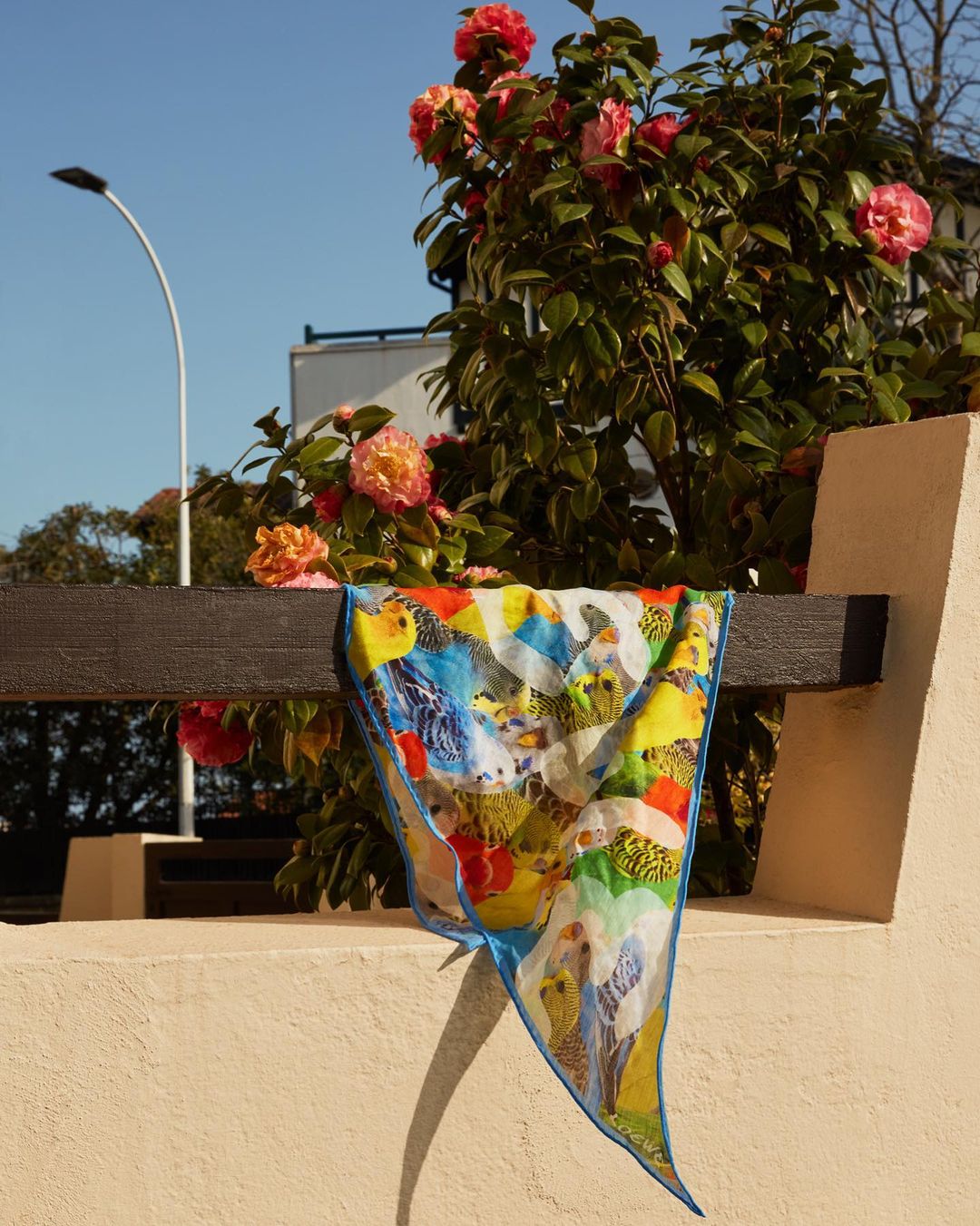 A colorful scarf with bird patterns hangs over a low wall, with a blue sky, a bush with pink flowers, and a street lamp visible.