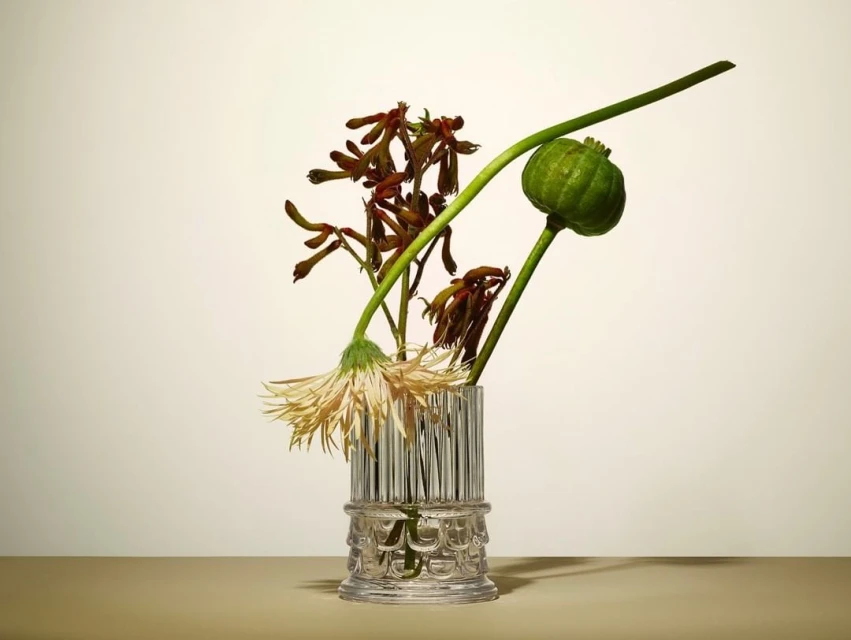 Studio shot of a clear vase holding a bouquet of wilted flowers and a green seed pod against a neutral background.