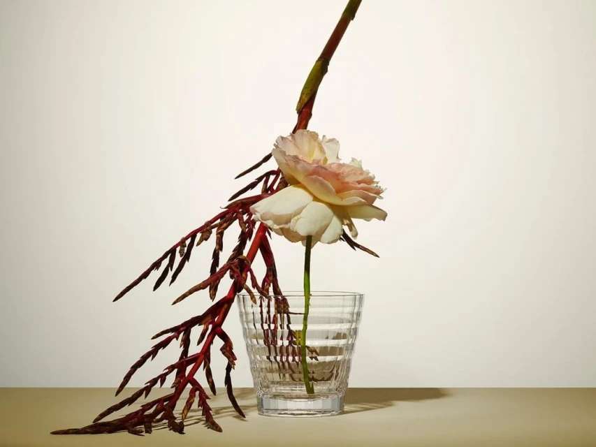 Close-up studio shot of a peach-colored rose and thin burgundy leaves in a clear glass vase set against a neutral background.