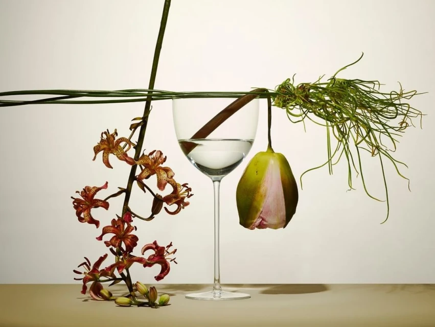 Botanical still life features Tiger Lily branch, an unopened flower, and green sprouts arranged around a wine glass filled with water.