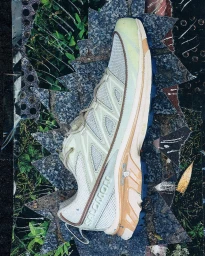 A Salomon sneaker set against a torn paper collage background featuring metallic textures and foliage.