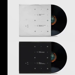 Top-down view of two vinyl records partially slid out of their white and black printed cardboard sleeves.