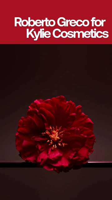 A close-up still life photograph features a single red flower in full bloom against a dark gradient background with text above.