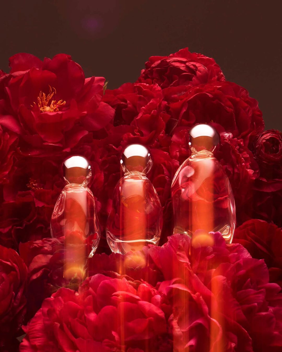 Three perfume bottles with silver caps arranged among vibrant red peony flowers, creating an elegant and eye-catching beauty product still life.