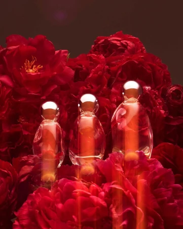 Three perfume bottles with silver caps arranged among vibrant red peony flowers, creating an elegant and eye-catching beauty product still life.