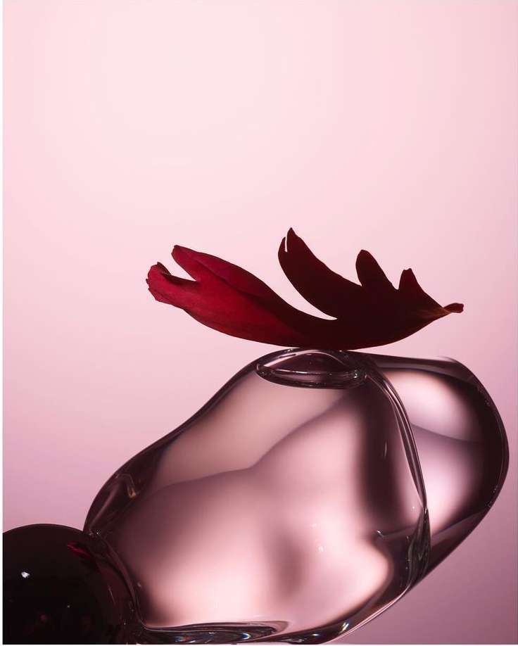 Close-up studio shot of a clear glass bottle with dark red flower petals on top against a pink background, creating a beauty still life.