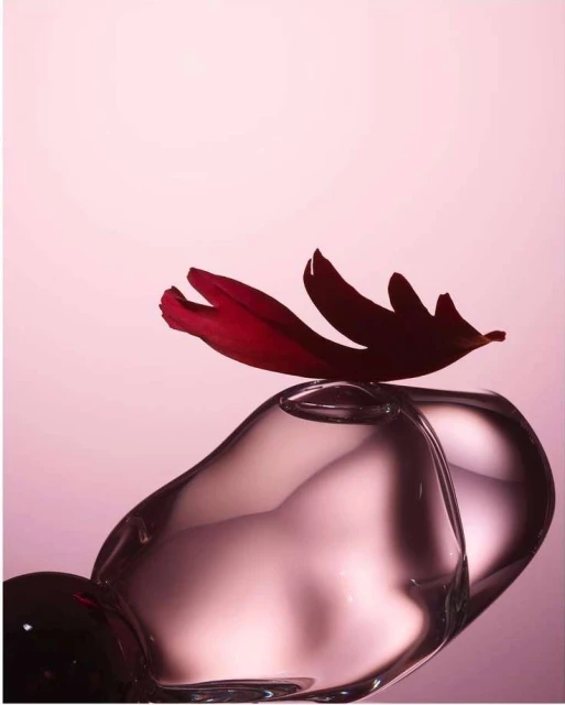 Close-up studio shot of a clear glass bottle with dark red flower petals on top against a pink background, creating a beauty still life.