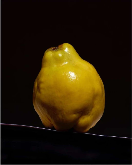 Close-up studio shot of a single yellow quince fruit on a dark surface, with a dark background, highlighting its unique shape and texture.