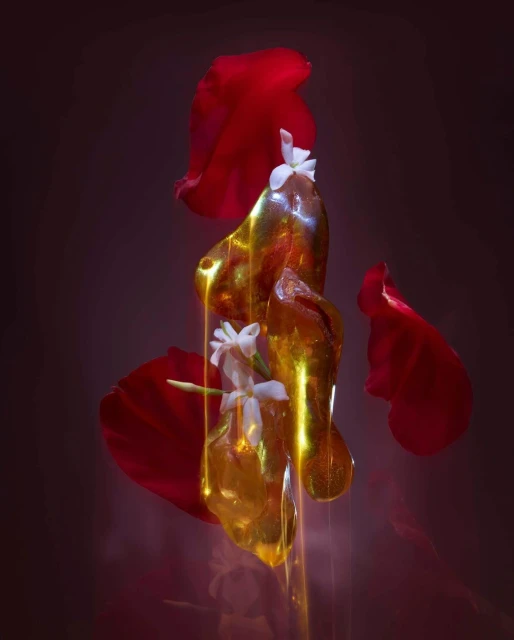 Abstract studio shot of red rose petals surrounding amber-toned gel forms and white flowers against a dark purple gradient background.