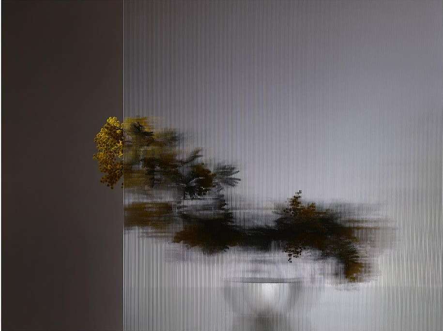 Still life photograph featuring yellow flowers in a vase, with an artistic striped effect creating a blurred and textured image.