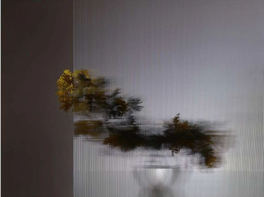 Still life photograph featuring yellow flowers in a vase, with an artistic striped effect creating a blurred and textured image.