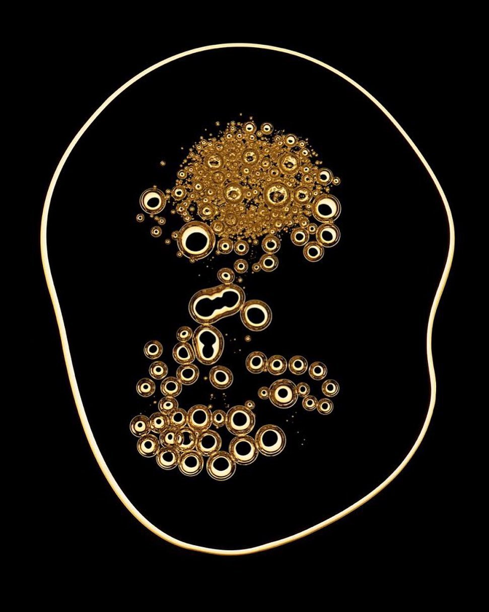 Abstract illustration of circular shapes with a gold color palette, set against a stark black backdrop, creating a modern and artistic design.