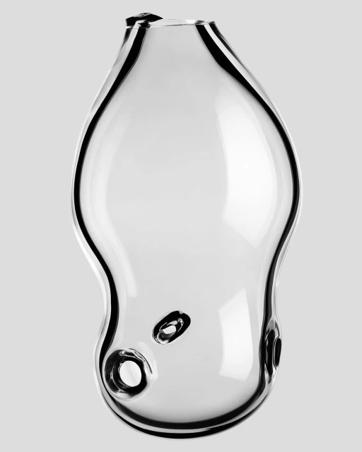 Elegant clear glass vase with smooth, rounded contours and delicate lip, set against a neutral backdrop emphasizing its transparent form.