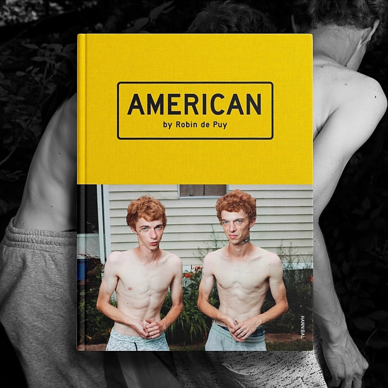 Book cover featuring two shirtless young men with red hair standing in front of a house, with another book titled AMERICAN.