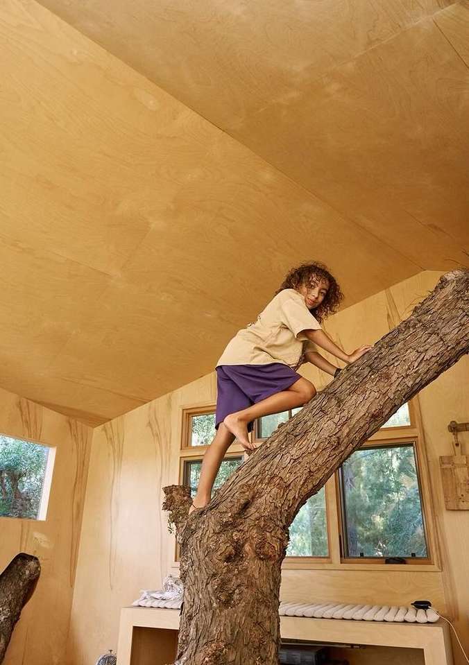 A child with curly hair climbs a tree trunk that extends into an interior space with windows and a light wood-paneled wall and ceiling.