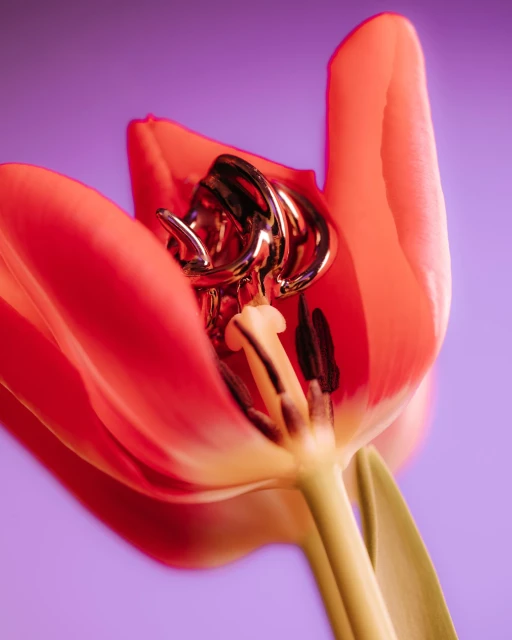 Close-up shot of a bright red tulip flower with metal coils inside, set against a soft gradient purple background.