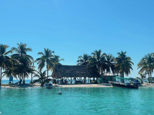 Tropical island scene with palm trees, a thatched-roof building, and boats on turquoise water under a clear blue sky on a sunny day.