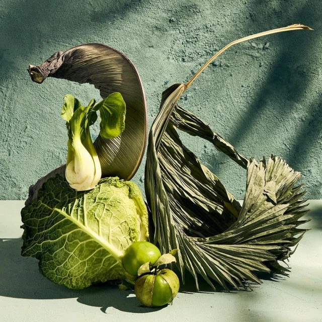 Still life photography featuring fresh and dry vegetables including cabbage, bok choy, apples, and palm leaves against textured background.