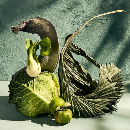 Still life photography featuring fresh and dry vegetables including cabbage, bok choy, apples, and palm leaves against textured background.