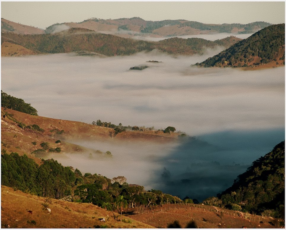 Tranquil landscape of hills covered in mist, with green trees and vegetation, under a soft sky, creating a serene atmosphere.