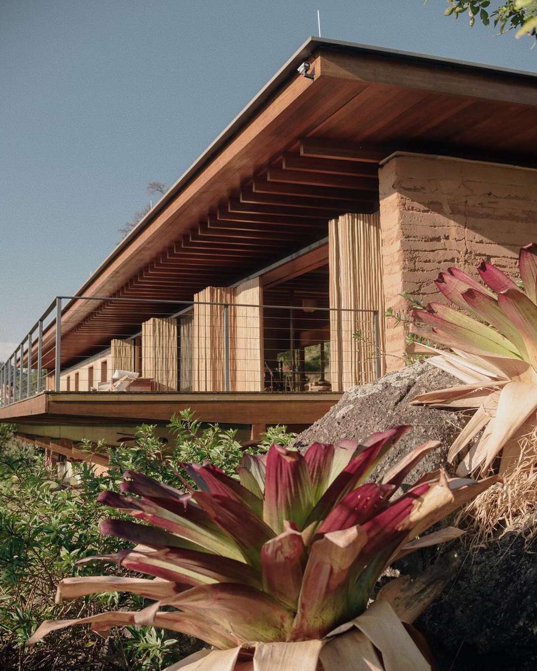 Exterior architectural photograph of a modern home with wood and brick construction, featuring bromeliads in the foreground on a sunny day.