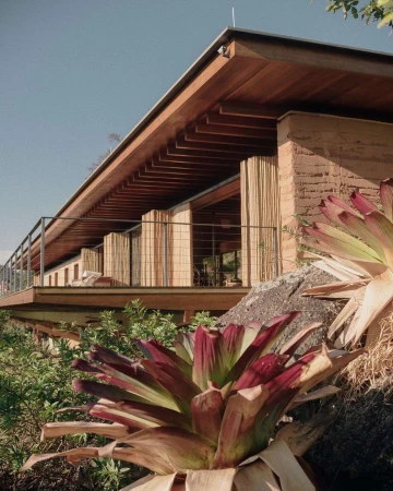 Exterior architectural photograph of a modern home with wood and brick construction, featuring bromeliads in the foreground on a sunny day.