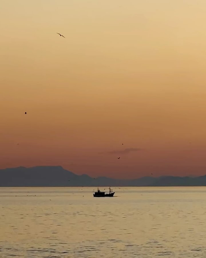 Silhouette of a fishing boat sails on a tranquil sea during a golden sunset with seagulls flying overhead, with distant mountains.
