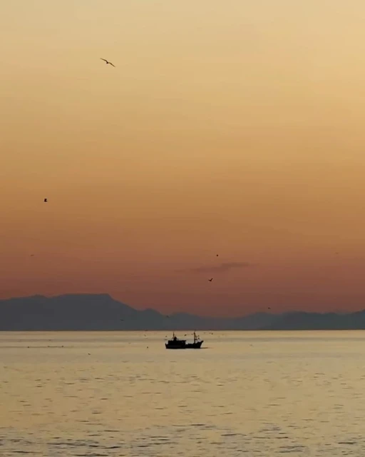 Silhouette of a fishing boat sails on a tranquil sea during a golden sunset with seagulls flying overhead, with distant mountains.