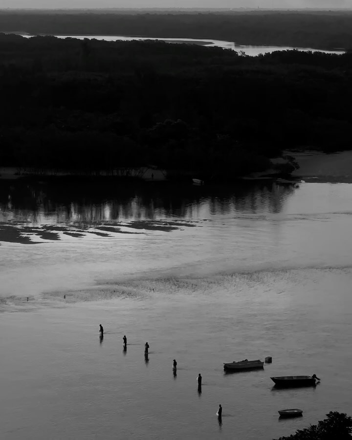 Monochrome high-angle shot features silhouetted people standing in water, small boats, and background trees and distant land.