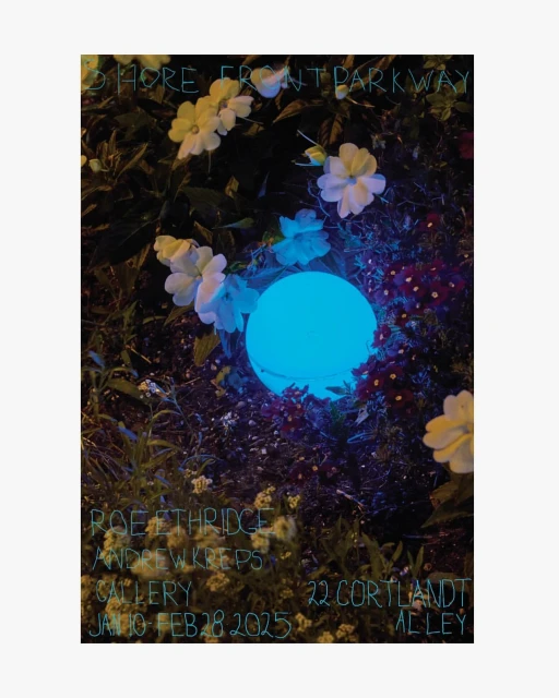 Floral garden scene at night with glowing blue orb light in the center, surrounded by white and red flowers, and artistic text overlay.
