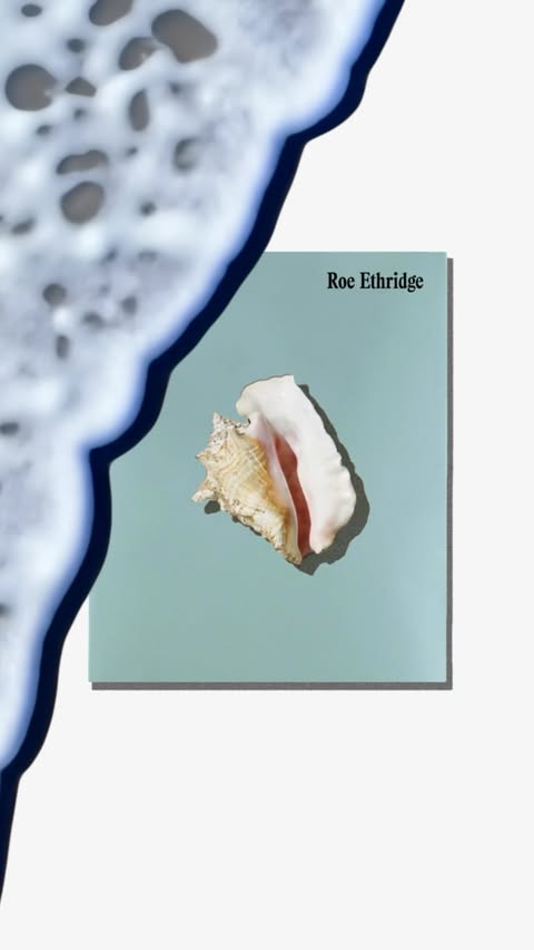 Conch shell displayed on a blue tile, juxtaposed with ocean wave foam, creating a visually striking marine-themed composition.