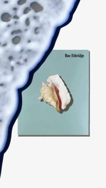 Conch shell displayed on a blue tile, juxtaposed with ocean wave foam, creating a visually striking marine-themed composition.