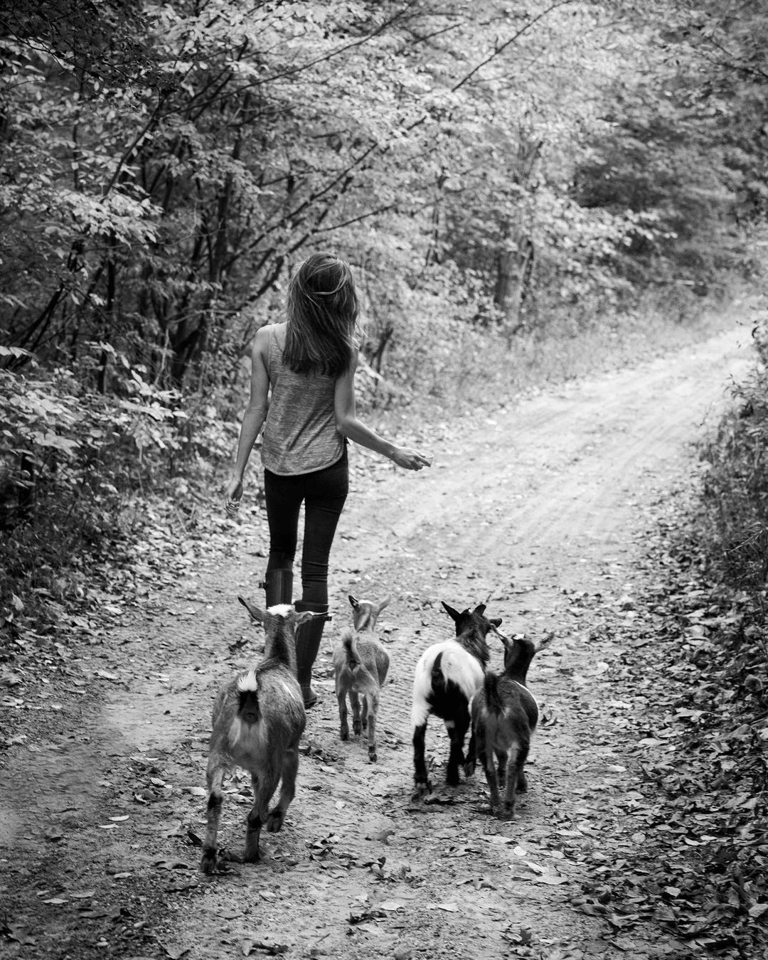A woman walks with a group of goats on a dirt path through a forest in a black and white photo. The woman is seen from behind.