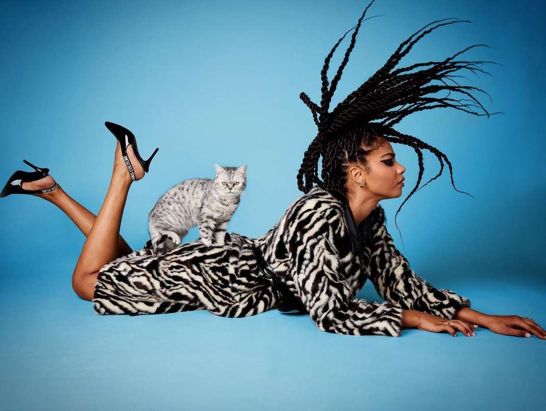 Elegant woman lies on a blue background with a gray tabby cat on her back, wearing a zebra print coat and black high heels.