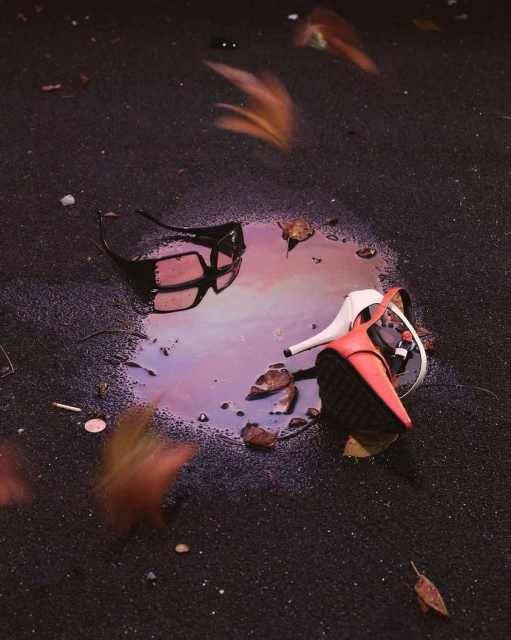 Sunglasses and a high-heeled shoe sit in a puddle on the ground, surrounded by fallen leaves, capturing a moment of urban disregard.