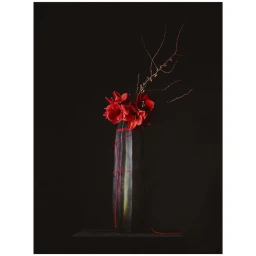 Vase of red flowers and bare twigs against a dark background by photographer Romain Roucoules.