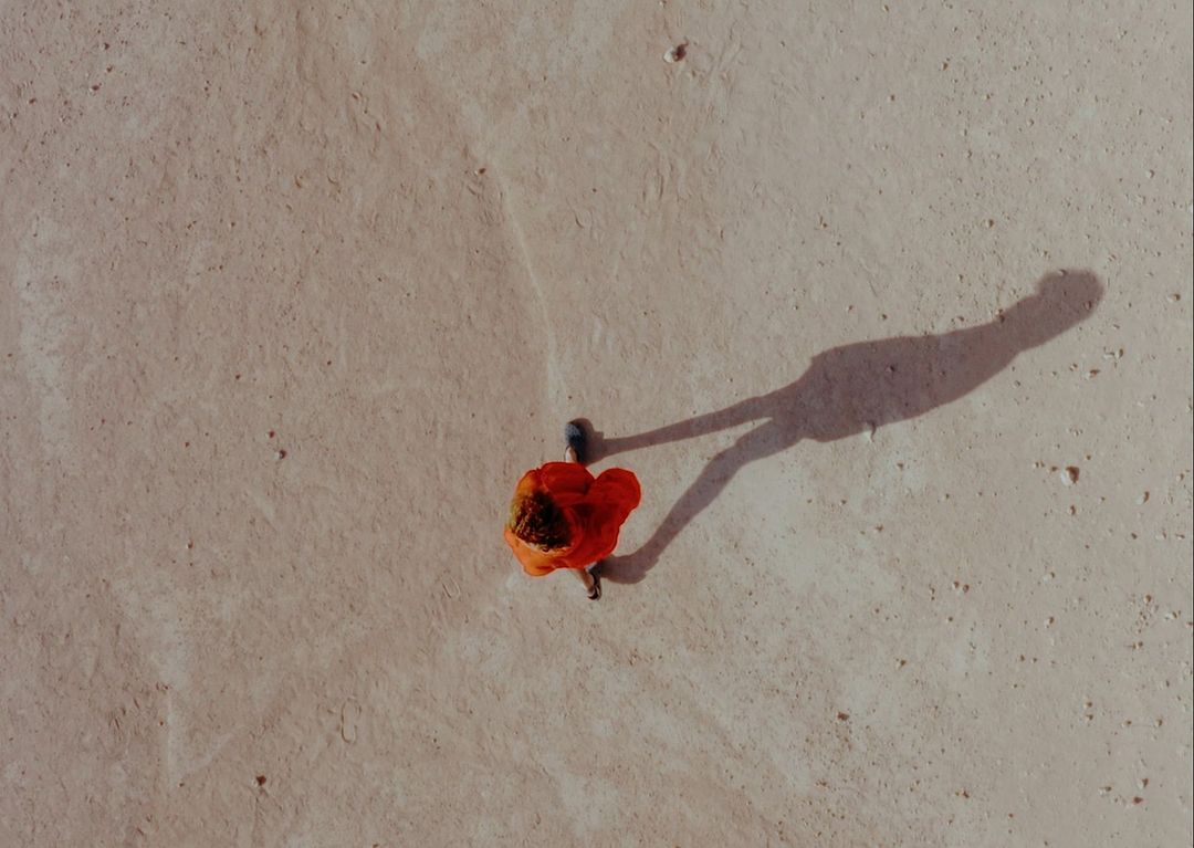 Overhead shot of a red flower with a blue center lying on a concrete surface, with a long shadow stretching across the scene.