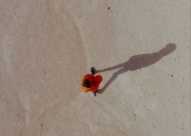 Overhead shot of a red flower with a blue center lying on a concrete surface, with a long shadow stretching across the scene.
