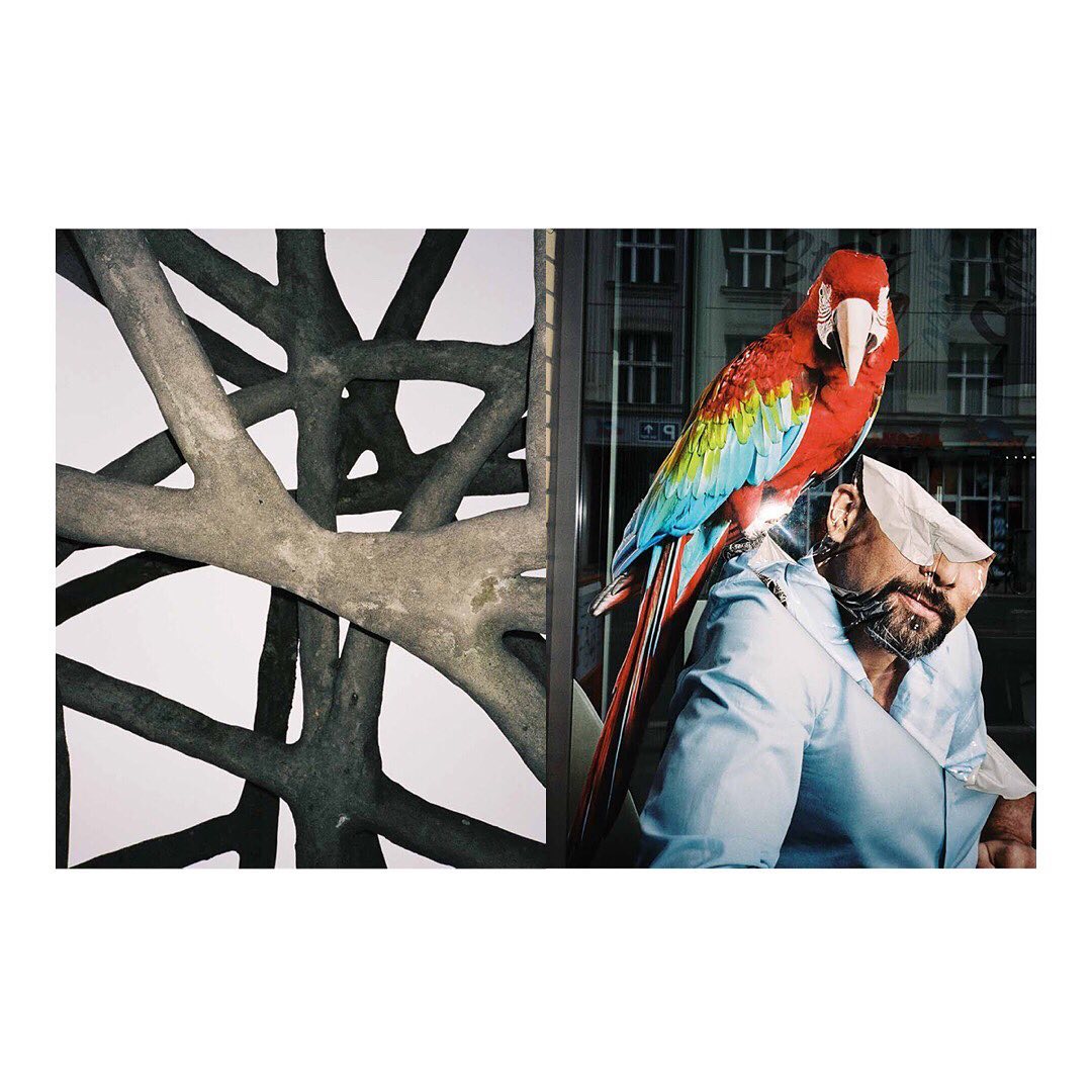 Striking visual features a man with a white mask on his head, a vibrant parrot perched on his shoulder, and branches on the left.