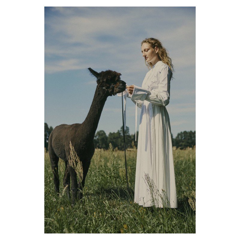 A woman stands in a grassy field, interacting with a dark alpaca under a blue sky with light clouds. The woman is wearing a white dress.