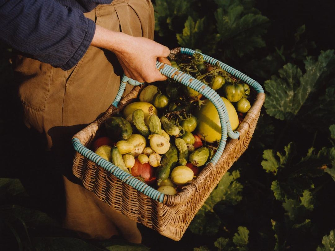 Wicker basket brimming with freshly picked vegetables and produce held by a person in a garden, in a close outdoor view.