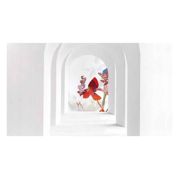 Floral arrangement featuring red orchids and assorted flowers displayed within a series of white arches creating a tunnel effect.