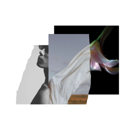 Mixed media art collage featuring a black and white portrait, draped white fabric, and a flower against black.