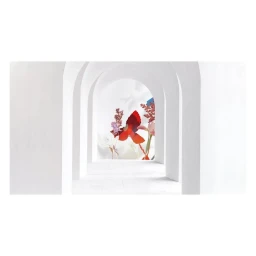 White arched corridor framing a distant colorful floral collage illustration by Rosanna Webster