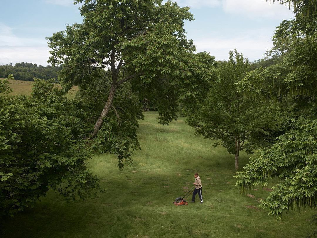 A person mowing a grassy field with a lawnmower, surrounded by trees and foliage under a bright, overcast sky, creating a peaceful scene.