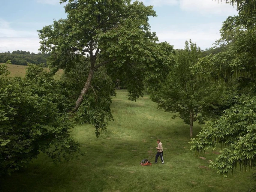 A person mowing a grassy field with a lawnmower, surrounded by trees and foliage under a bright, overcast sky, creating a peaceful scene.