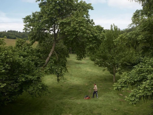 A person mowing a grassy field with a lawnmower, surrounded by trees and foliage under a bright, overcast sky, creating a peaceful scene.